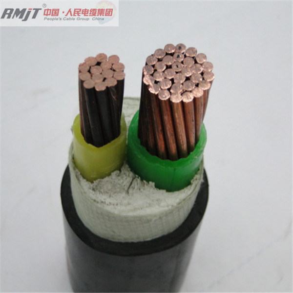 China 
                        0.6/1kv 2 Core 16mm Aluminum/XLPE/PVC Power Cable
                      manufacture and supplier