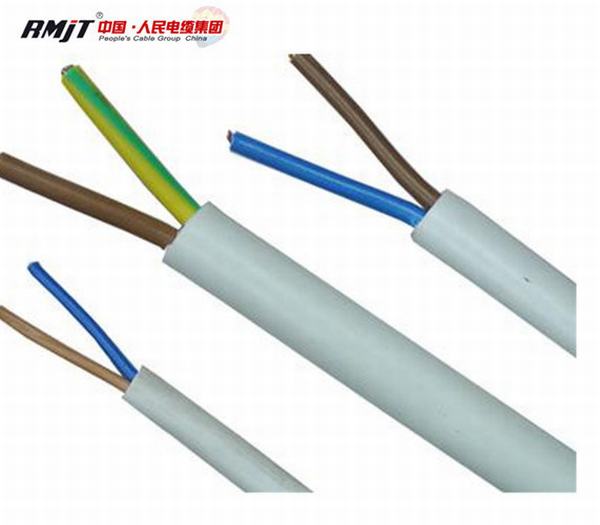 Chine 
                                 2 conducteurs isolés en PVC du câble de commande souple plat                              fabrication et fournisseur