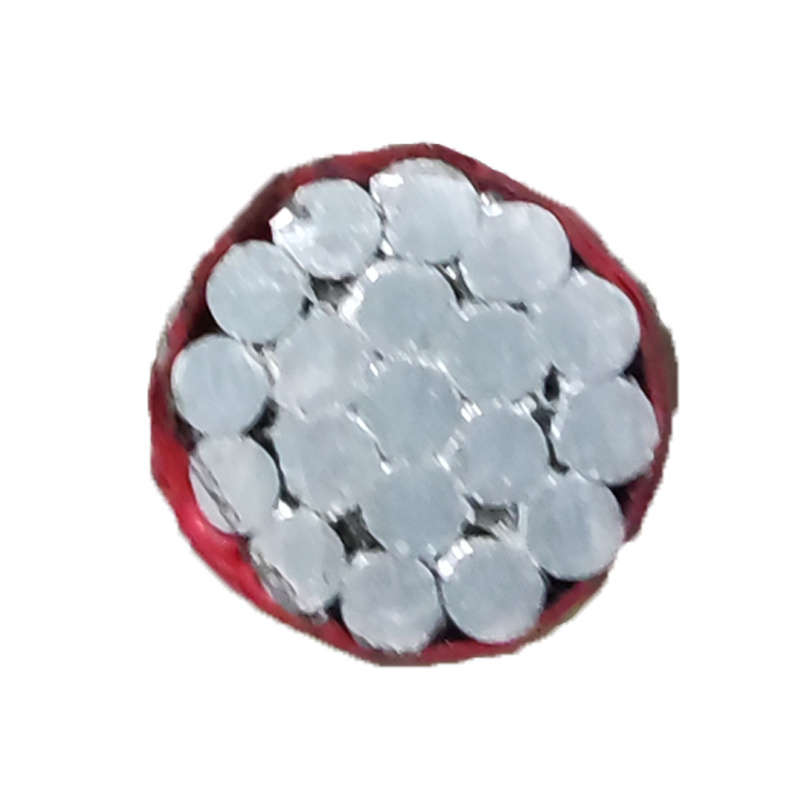 China 
                        AAC Bare Conductor Aluminium Stranded Cable
                      manufacture and supplier