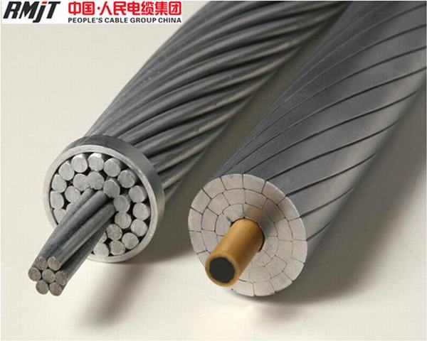 China 
                                 O condutor Accc condutores de alumínio reforçado do núcleo composto de fibra de carbono                              fabricação e fornecedor