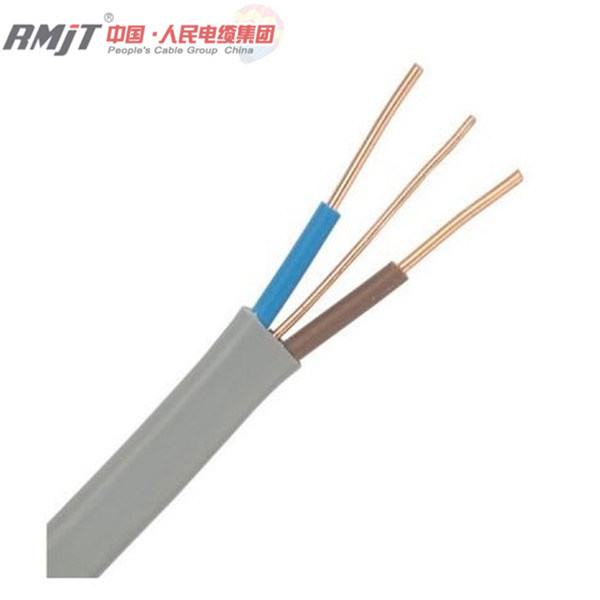 Chine 
                                 Âme en cuivre à revêtement en PVC et de la terre double plat câble TPS                              fabrication et fournisseur