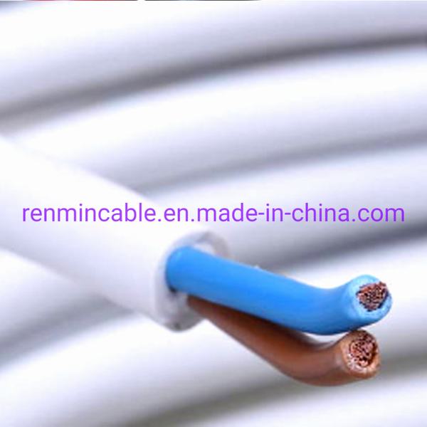 Chine 
                                 Multi-Coeurs 300V 500V cuivre isolés en PVC flexible gainé blindé Rvv Câble électrique                              fabrication et fournisseur