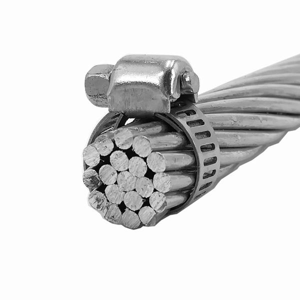 
                        Overhead Bare Aluminum Conductor Steel Reinforced ACSR Dog Conductor Cable
                    