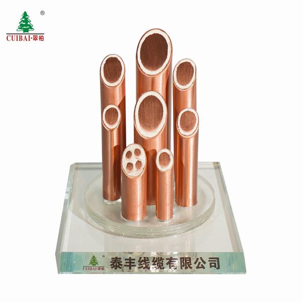 China 
                        750V Bttz Copper Sheathed Lsoh Mineral Insulated Cable with BS 6387 Cwz
                      manufacture and supplier