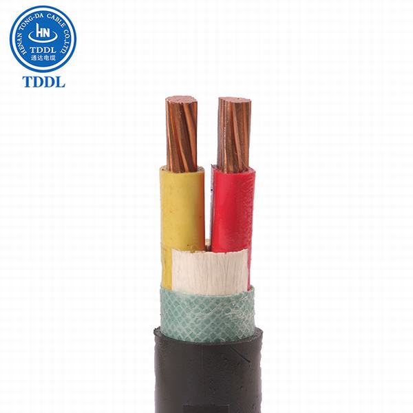 China 
                                 0.6/1kv-2 Núcleo Conductor de cobre aislados con PVC, Cable de acero recubierto de PVC blindado Nyry Cable de alimentación                              fabricante y proveedor