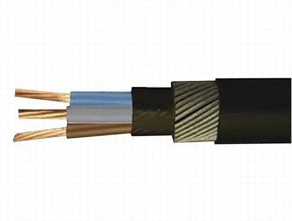 Chine 
                                 Isolés de PVC blindés 0.6/1kv Câble électrique conducteur en cuivre avec l'aluminium ou câble d'alimentation                              fabrication et fournisseur