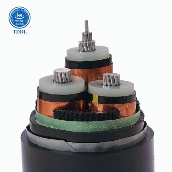 China 
                        6/10kv Three-Core Aluminium Conductor, XLPE Insulated, Copper Tape Screened, PVC Sheathed Mv Power Cable
                      manufacture and supplier