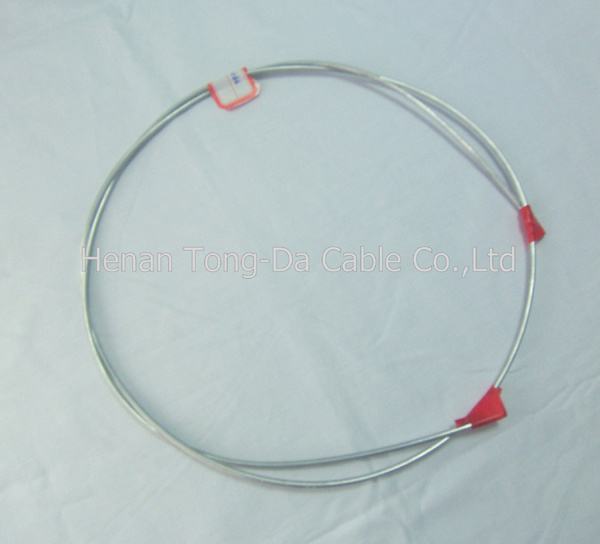 China 
                        Alumoweld Wire
                      manufacture and supplier