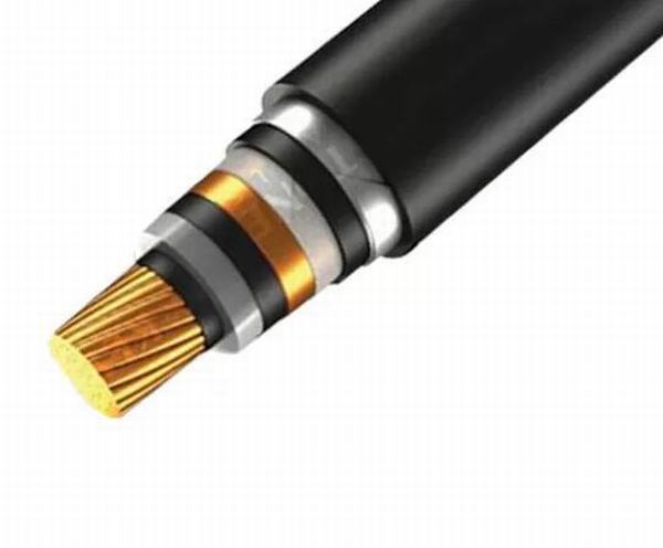 China 
                        Class 2 Armoured Electrical Cable Copper Conductor for Underground Reticulation
                      manufacture and supplier