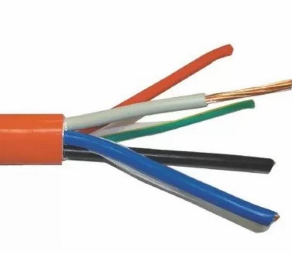 China 
                        Custom 600 V PVC Insulated Power Cable 2 Years Warranty Cvv Cvv-S
                      manufacture and supplier