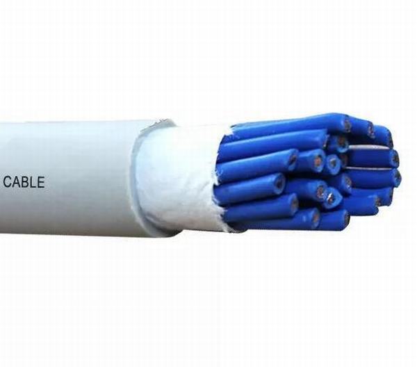 China 
                        Durable White Control PE Sheathed Cable Anti Extrusion 0.75mm2 - 10mm2
                      manufacture and supplier