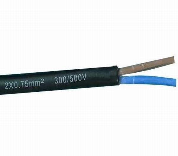 China 
                        Flexible Cores Rubber Sheathed Cable H05rn-F Light Model Black
                      manufacture and supplier
