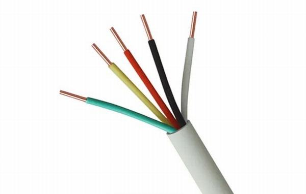 China 
                        Multicore PVC Insulation Electrical Cable Wire White Jacket Color for Electric Power
                      manufacture and supplier