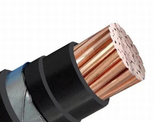 Chine 
                                 Câble électrique blindé simple coeur de 1kv conducteur de cuivre isolés en PVC Câble blindé de bandes en acier inoxydable                              fabrication et fournisseur
