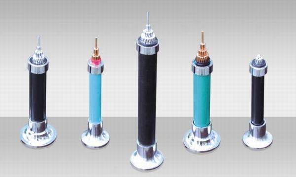 China 
                        Overhead 10~35kv XLPE Insulated Aerial Cable
                      manufacture and supplier