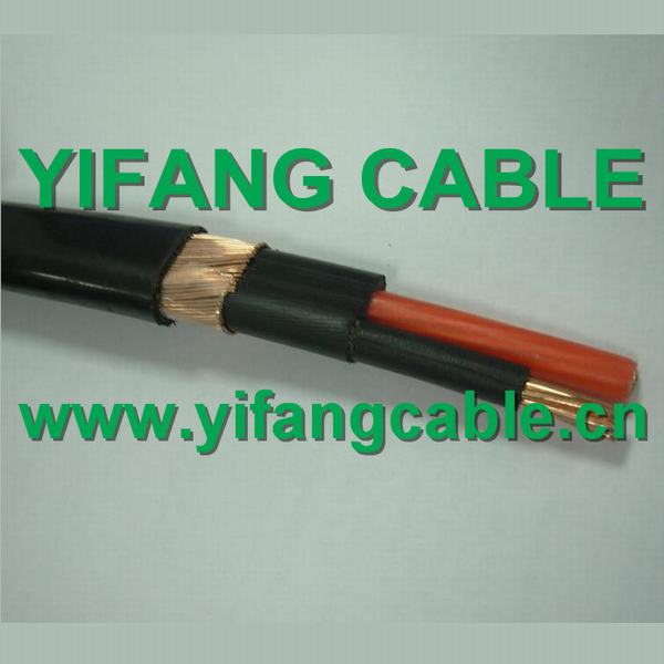 Chine 
                                 Kv 0.6/18/2, 6/3 câble concentrique                              fabrication et fournisseur