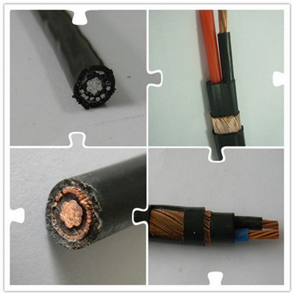 China 
                        0.6/1kv Aerial Service Concentric Neutral Cable with Pilot Communication Wire Sne Cne Airdac Cable
                      manufacture and supplier
