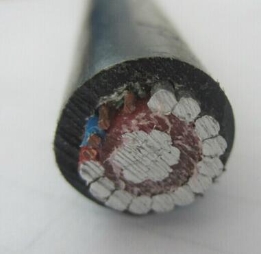 
                0.6/1kv CNC Concentric Cable 2X16mm2 Aerial Concentric Service Cable XLPE Insulated 2X8 AWG Concentric Cable
            