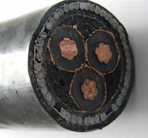 China 
                        0.6/1kv Cu/XLPE/Swa/PVC Underground Power Cable
                      manufacture and supplier
