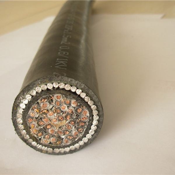 China 
                        0.6/1kv XLPE Insulated Galvanized Steel Wire Amour Instrument Cable
                      manufacture and supplier