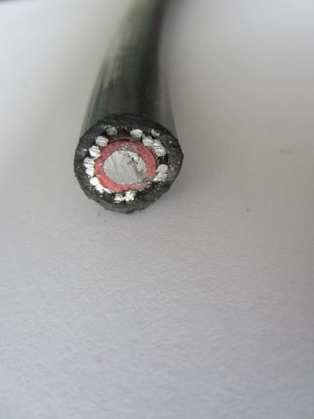 Chine 
                                 10mm2 16mm2 Cne end câble concentrique                              fabrication et fournisseur