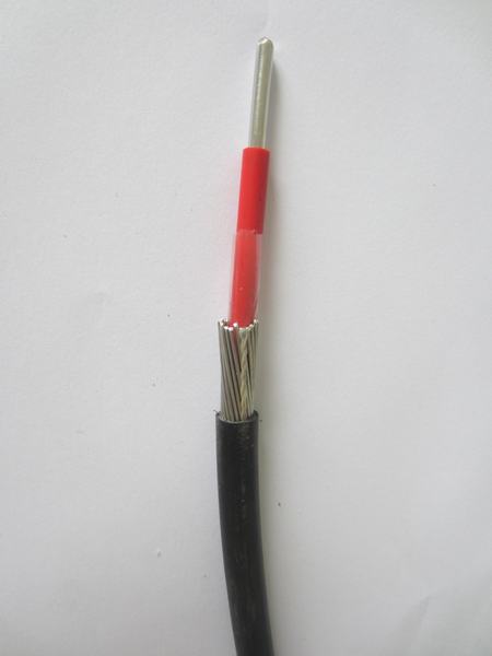 
                                 16mm2 l'alluminio (rame) ha spaccato l'isolamento concentrico del cavo XLPE/PVC per il Kenia                            
