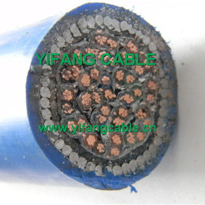 
                1pair, 2pair, 6pair, 8pair, 20pair, Is/OS Instrument Cable Twisted Pair Armored Instrument Cable with XLPE Insulation
            