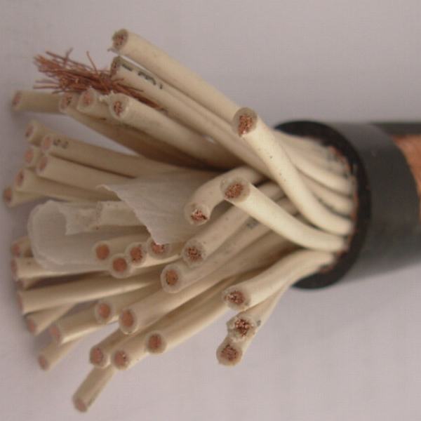 China 
                        450/750V Copper PVC Insulated PVC Sheathed Control Cable
                      manufacture and supplier