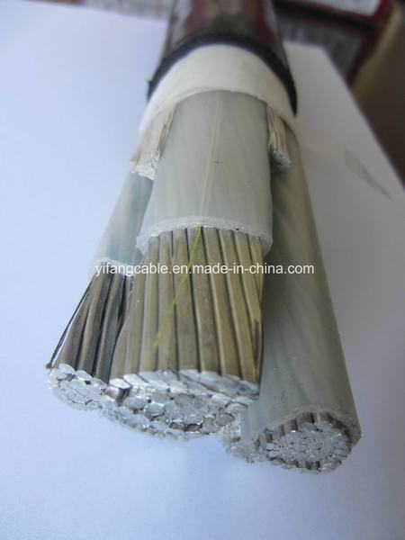 China 
                        600/1000V Compacted Aluminum Conductor XLPE Insulation PVC Sheath Cable
                      manufacture and supplier