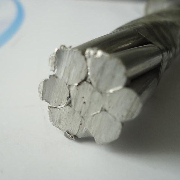 Cina 
                                 75.5 Quadrato. conduttore nudo della lega di alluminio del conduttore dell'aster AAAC di millimetro                              produzione e fornitore