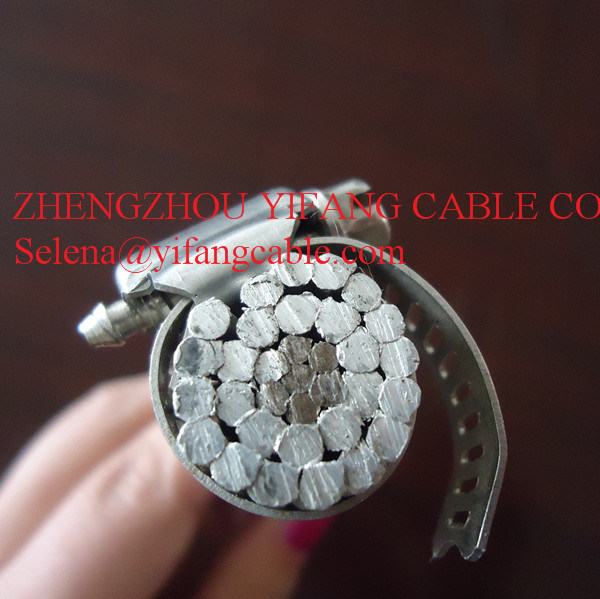 China 
                        ACSR Sparrow Overhead Bare Conductor
                      manufacture and supplier