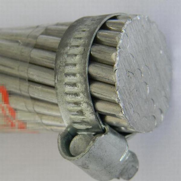 Китай 
                                 ASTM все алюминиевого сплава проводниковый кабель AAAC подметальной машине Elgin                              производитель и поставщик