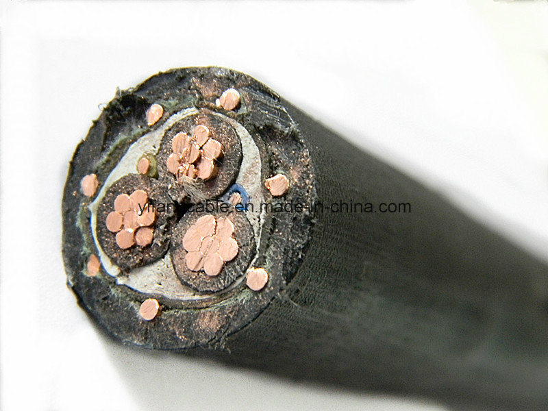 
                Alloy XLPE Insulation 2X8 2X10 3X6 3X8 AWG XLPE Insulated Concentric Cable
            