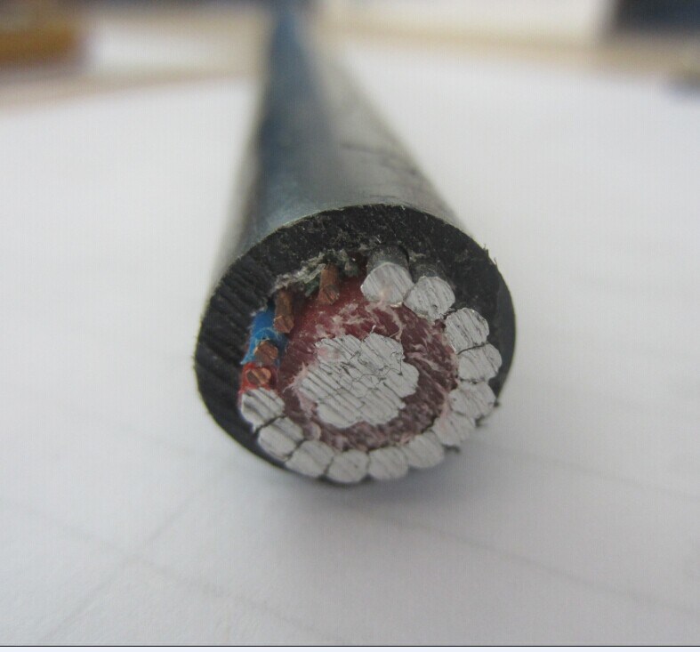 
                Aluminum Alloy Concentric Cable 16mm Split Concentric Cable Price Aluminium XLPE Insulation LLDPE Sheath
            