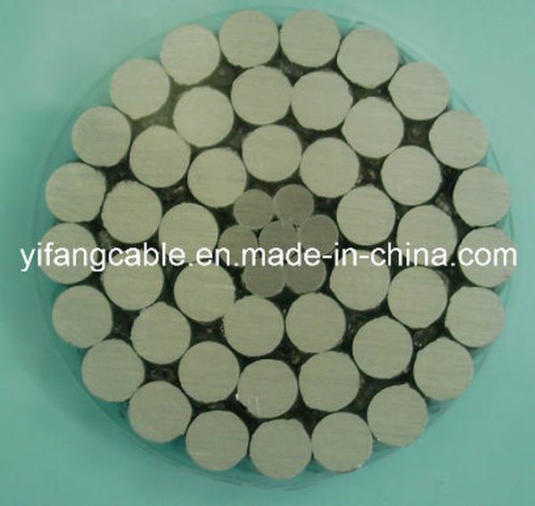China 
                        Aluminum Conductor Steel Reinforced/ACSR
                      manufacture and supplier