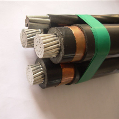 
                Bundled Overhead Aerial Bunched XLPE Aluminum Cables 2X10 Sqmm, 2X16mm2 ABC Cable for Overhead Construction
            