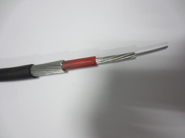 China 
                                 El cable 10sqmm LV S/C PVC al concéntricos                              fabricante y proveedor