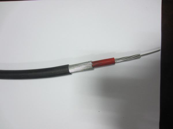 Chine 
                                 Câble DV 16sqmm S/C Al concentriques PVC                              fabrication et fournisseur