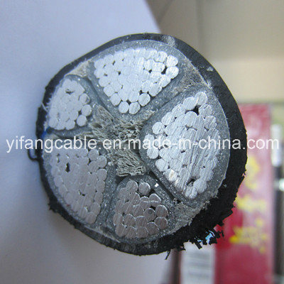 
                China Na2xy 0.6/1 kV Aluminium Conductor, XLPE isolado, revestimento de PVC
            
