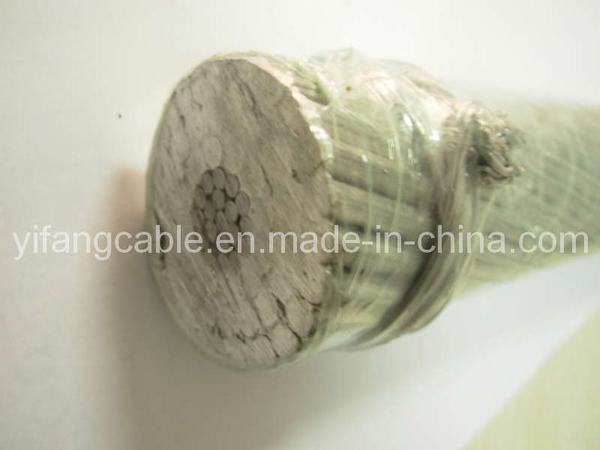 China 
                                 Concentric-Lay Conductor trenzado de acero recubierto con reforzados (ACSR)                              fabricante y proveedor
