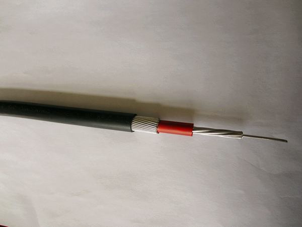 China 
                                 Concentrico Cable de aluminio 2x10mm2 (XLPE-PVC) 0.6/1 Kv                              fabricante y proveedor
