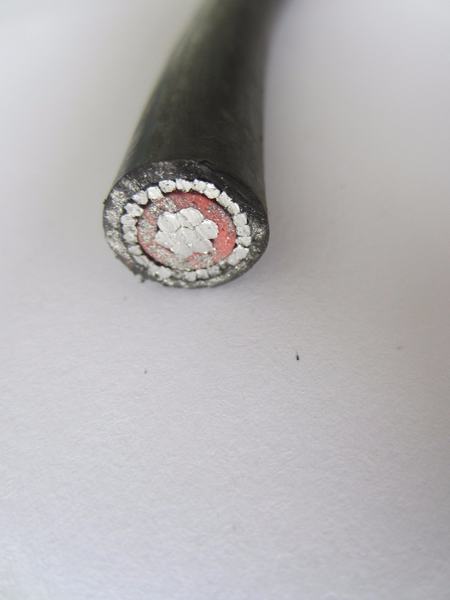 China 
                        Concentrico Aluminio Cable 2X8AWG (XLPE-PVC) 0.6/1 Kv
                      manufacture and supplier