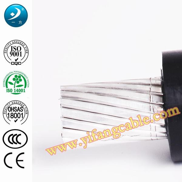 China 
                                 O Conductor 100mm2 AAC de PVC de alta definição                              fabricação e fornecedor