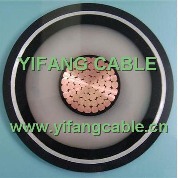 Chine 
                                 Conducteur de cuivre/aluminium simple coeur de câble d'alimentation MV                              fabrication et fournisseur