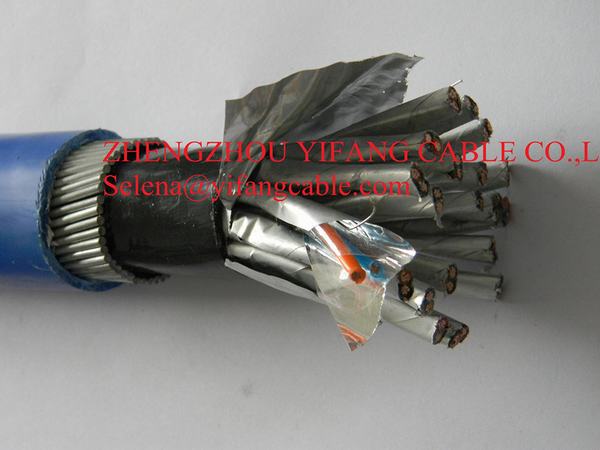 China 
                        Instrument Cable, Is/OS Screen, Armoured
                      manufacture and supplier