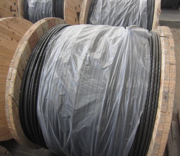 China 
                                 Cubiertas con aislamiento de cable de aluminio de tamaño AWG AAC, AAAC XLPE/Icea                              fabricante y proveedor