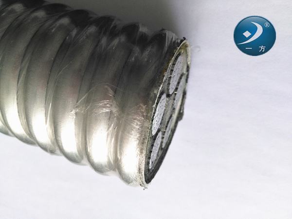 China 
                                 Baixa Tensão de isolamento XLPE liga de alumínio intertravados cabos blindados                              fabricação e fornecedor