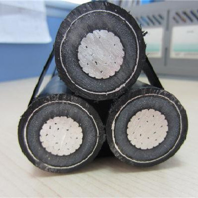 
                        Single Core 400sqmm XLPE Insulated Al Underground Power Cable for Cote D′ Ivoire
                    