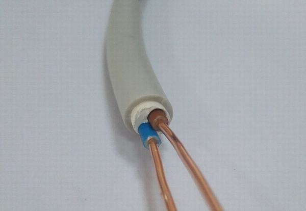 Cina 
                                 Tipo del conduttore solido e collegare materiale del conduttore BV/Thhn/Thw del rame                              produzione e fornitore