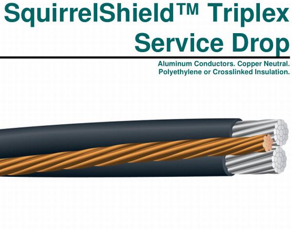 Chine 
                                 Service Squirrelshield, Triplex Drop, 4/0AWG                              fabrication et fournisseur
